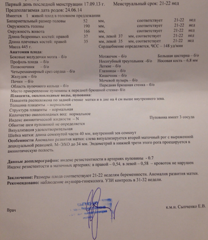 Отчет по второму скрининг узи.