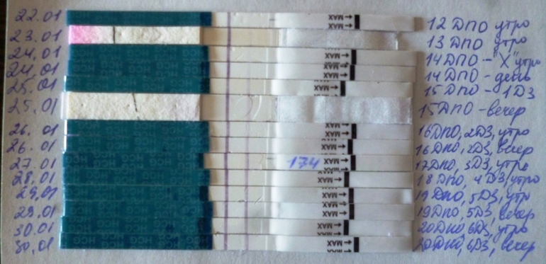 ec4b21e042cc28e4b529eb046e6afec9.jpg