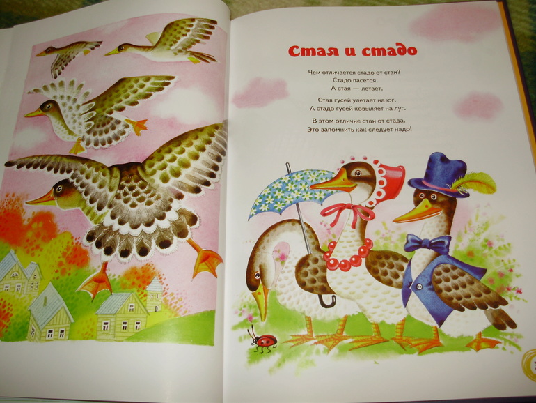 Зимние книги и другие новинки декабря