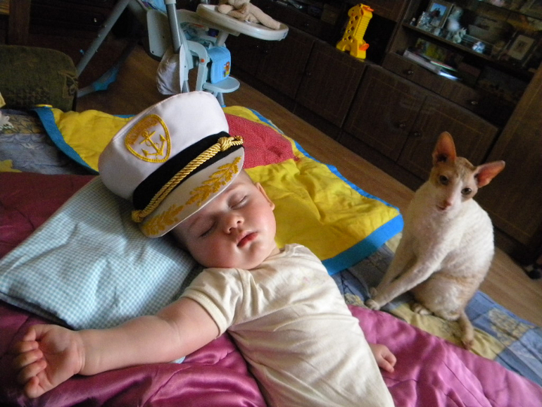 Котейка Фентос : ) Феня
