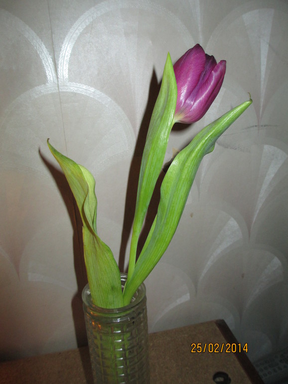 Поклонник