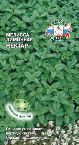 Мелисса и неожиданное сочетание вкусов