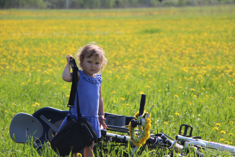 Одуванчиковая фотоссесия