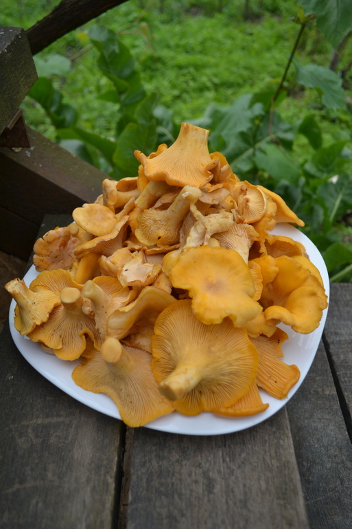 ММММ...море удовольствия. Вкус из детства