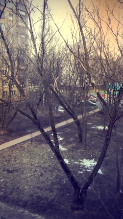 февраль