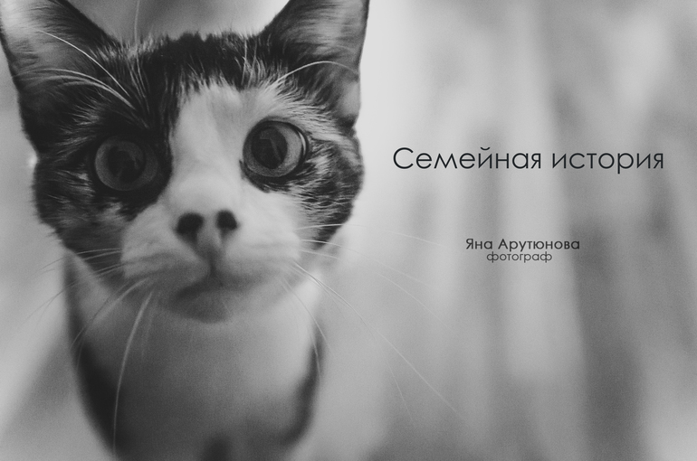 Семейная история