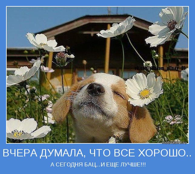 Счастливая весна! ч.1
