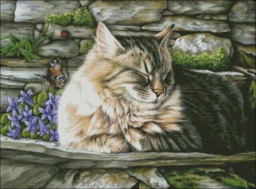 отчёт о котике)