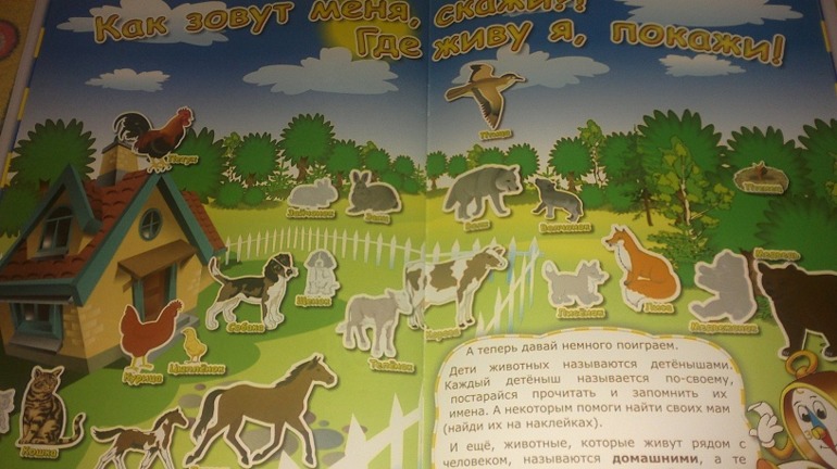 Изучаем географию