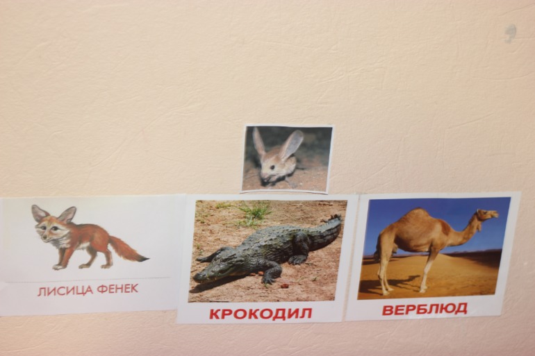 ТН Африка