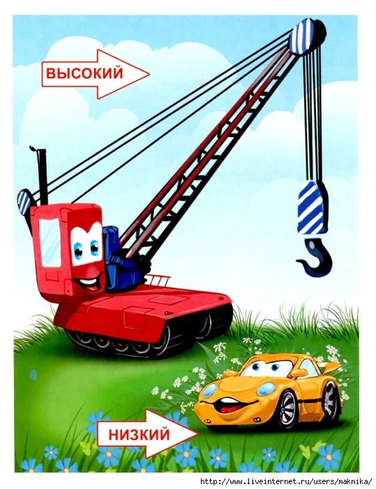 ТН