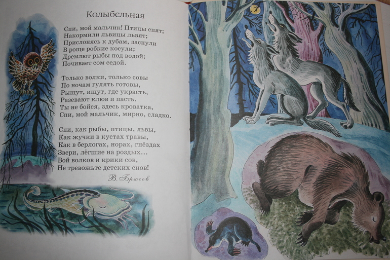 Наши книги (1 г и 8 мес)