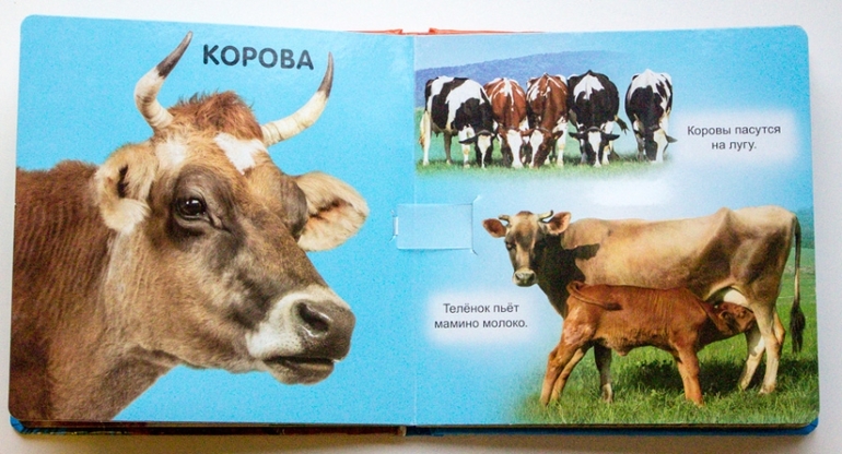 Наши книги до года