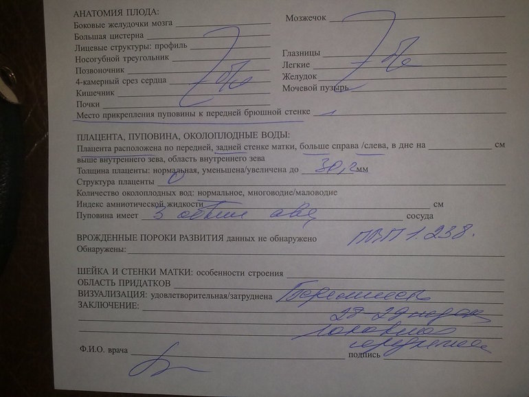 Наше УЗИ и поход к эндокринологу)