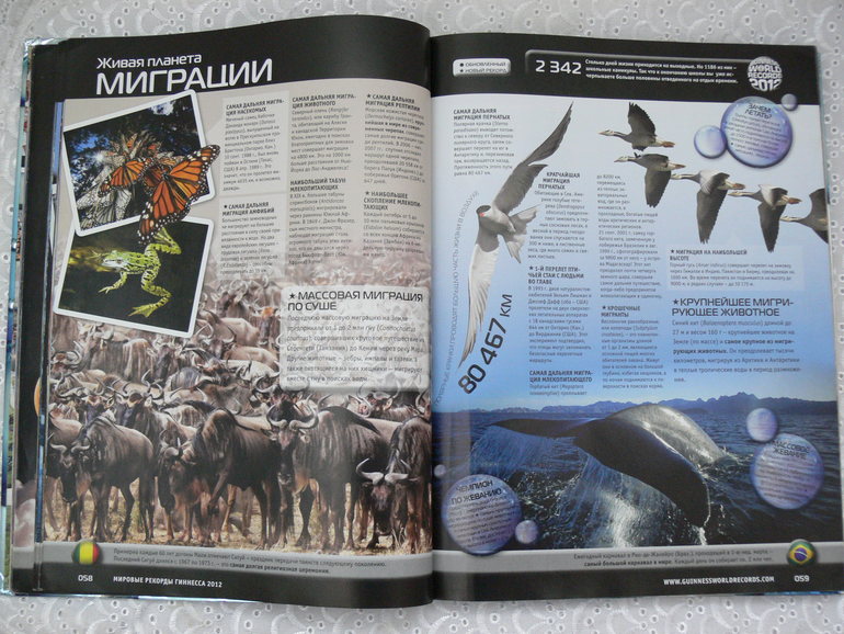 Книга Гинесса - не только для взрослых читателей:)