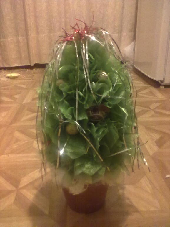 Вытворяшки за последнее время
