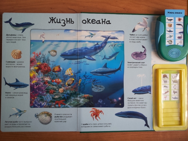 100 волшебных звуков или "Все голоса животных" в одной книге!!!!