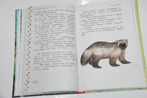 Лето разноцветно-косолапое.