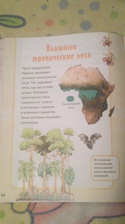 Увлекательная география