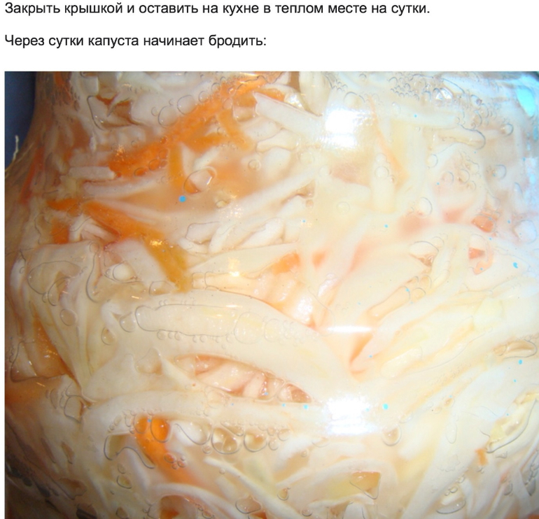 Квашенная капуста