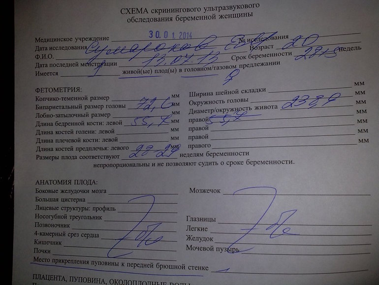 Наше УЗИ и поход к эндокринологу)