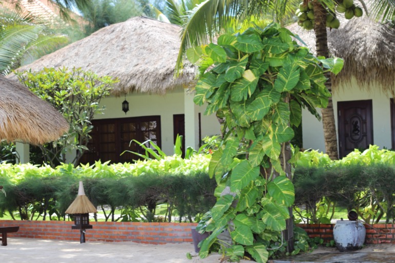 CHAM VILLAS, Муйне