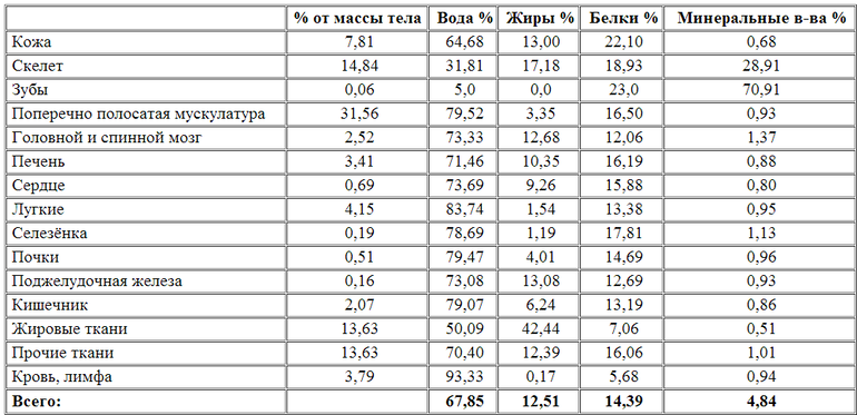 Состав человеческого тела.