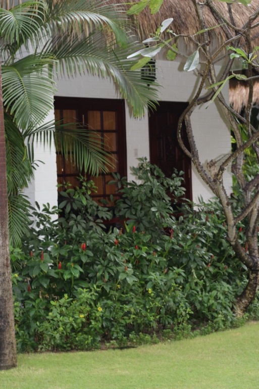 CHAM VILLAS, Муйне