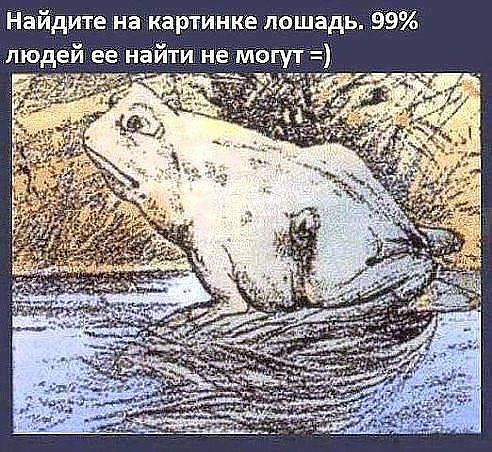 найдите лошадку