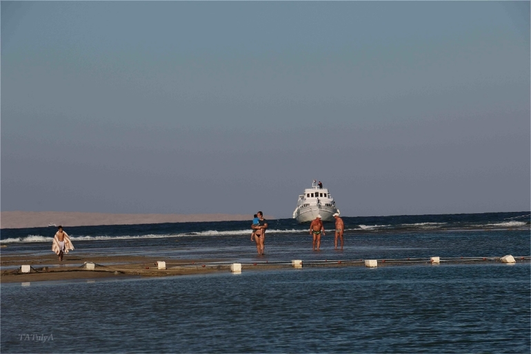 Наш неожиданный отдых в «Dana Beach» в Египте г. Хургада с 20.12-27.12.13