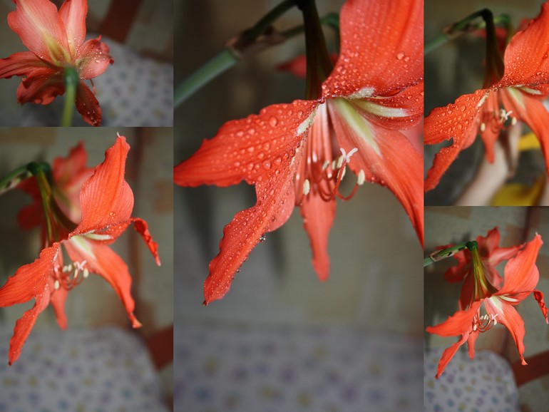Природные явления. День 4.