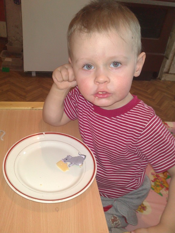 ТЗ " Сыр"