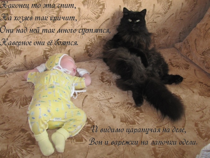 О ребятах и зверятах...