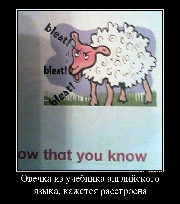 всего по немногу