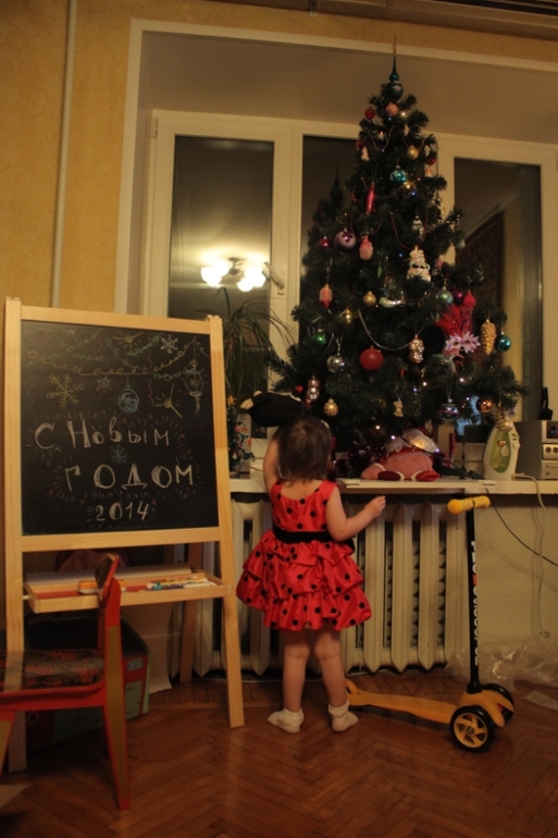 Новый год 2014
