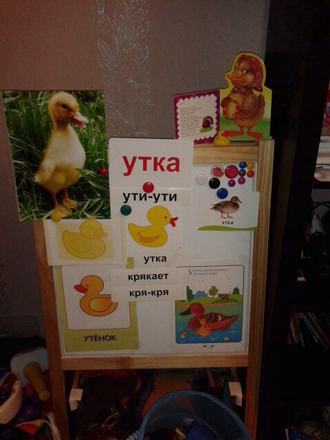Наши тематические картинки