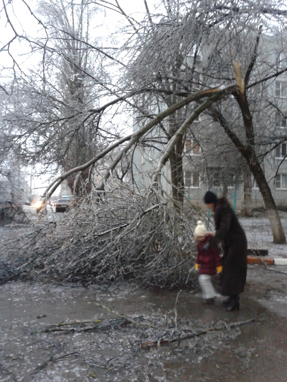 Зима в Краснодаре!