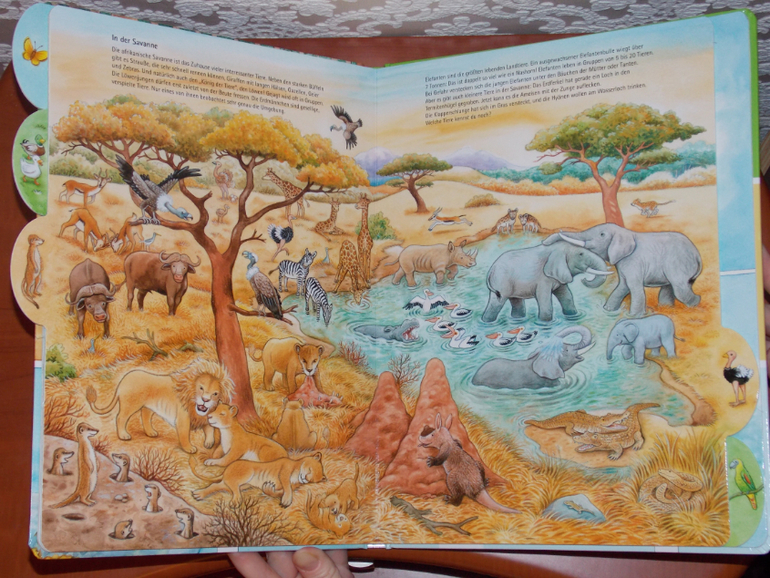 Развороты Meine Welt der Tiere by Hans-Günther Döring