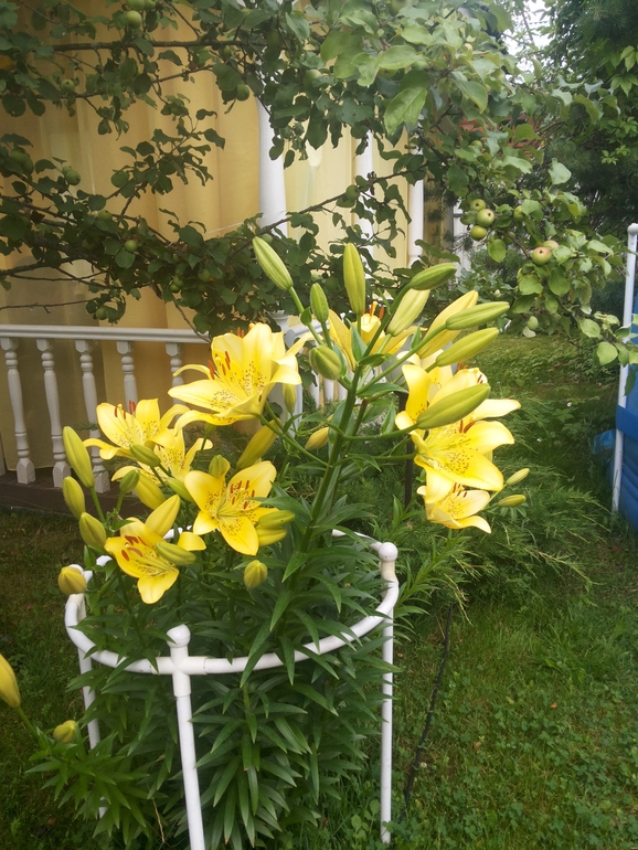 и я поделюсь