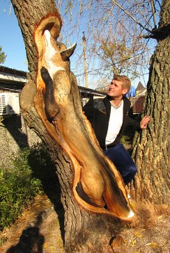Улыбнуло