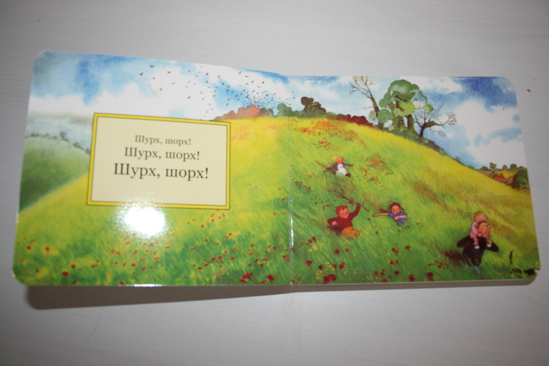 Наши книги (1 г и 8 мес)