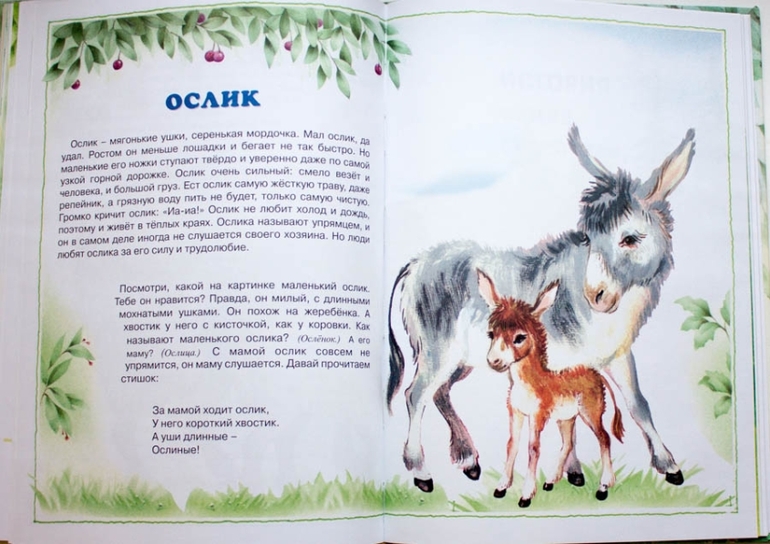 Книги-мечты для развития речи