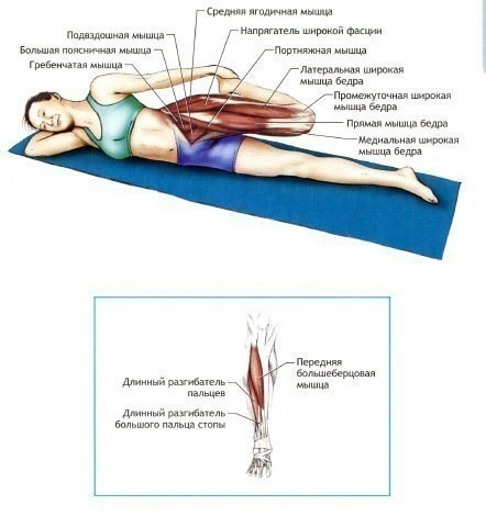 День 6. Физические нагрузки, ч. 2