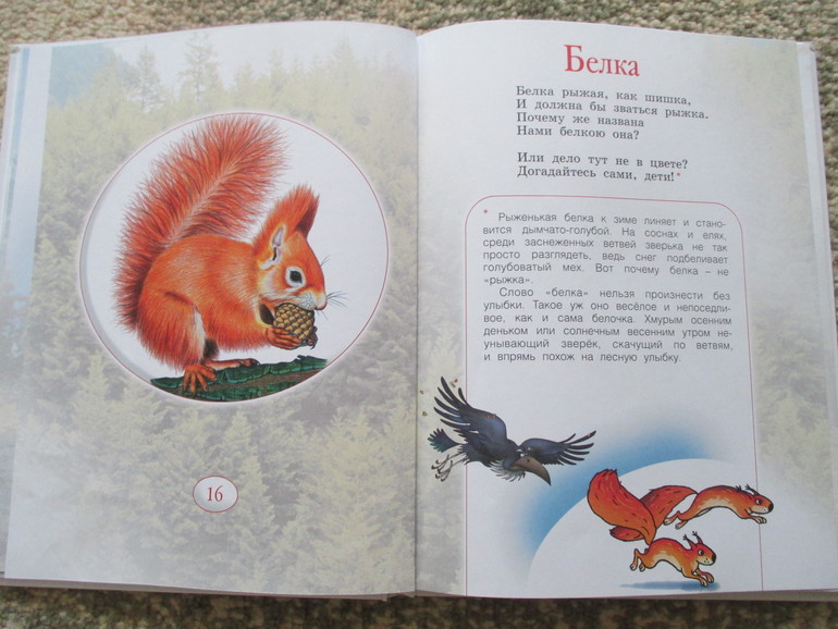 ФМ Весна. День пятый.