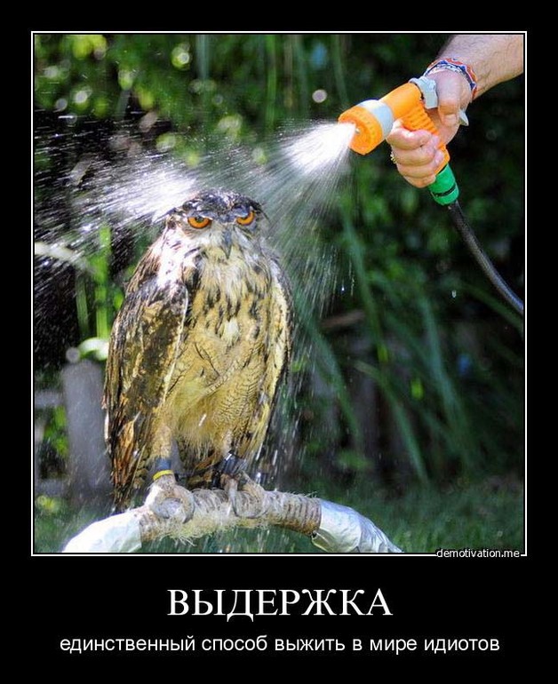 Праздник, ура!