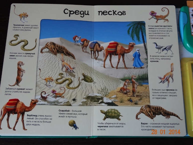 Замечательная книга по очень низкой цене!