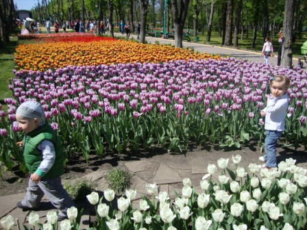 Дендропарк цветет