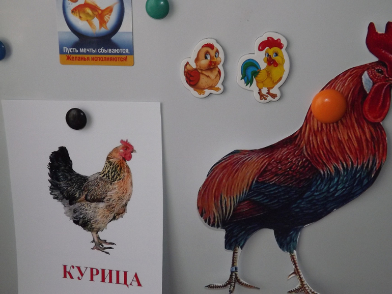 Наш отчет ТЗ "Курица, петух, цыплёнок" День 2 Курочка и цыпленок