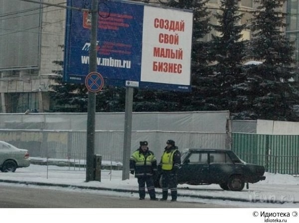 О кошках и не только...