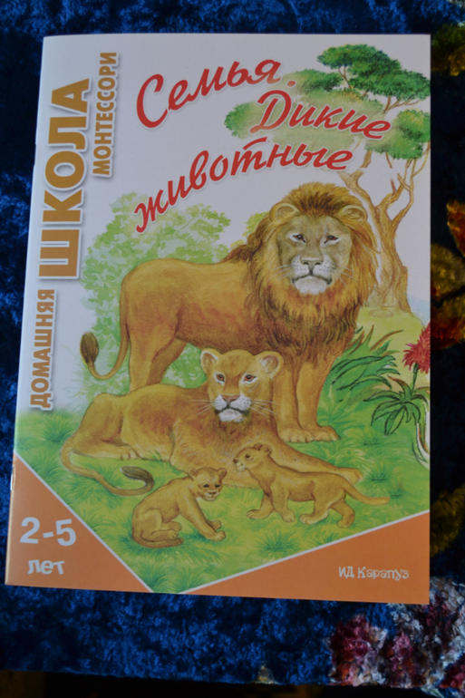Развивающее пополнение))